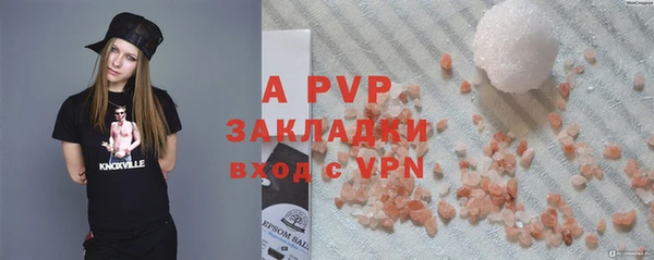 мдпв Ельня