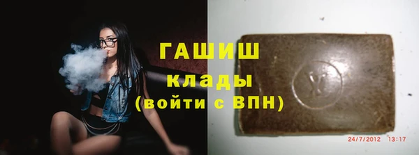 мдпв Ельня