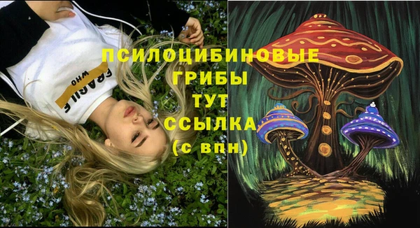 мдпв Ельня