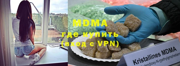 мдпв Ельня